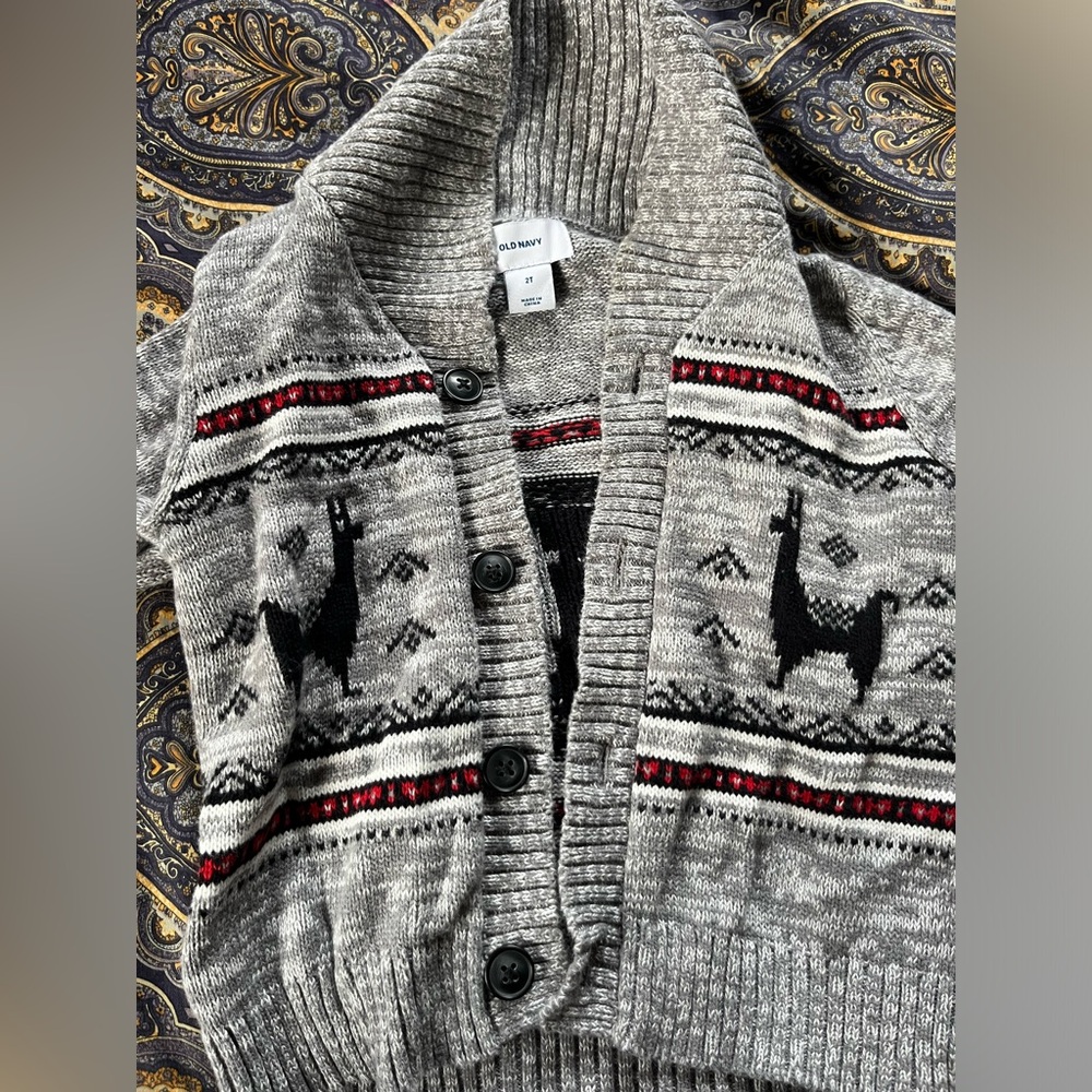 Boys Llama Cardigan Sweater